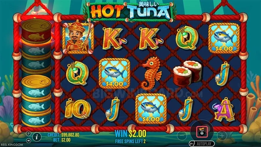 Live Roulette Wheel